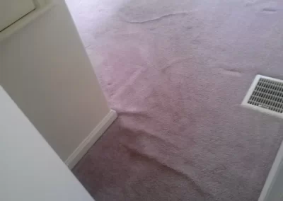 Affordable Carpet Cleaning
