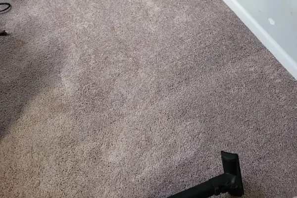 CTM Carpet Care's Other Services