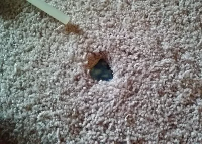 Carpet Cleaning Service