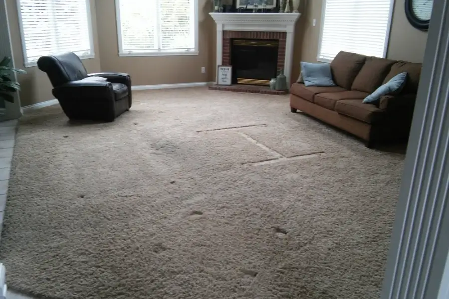 Carpet Cleaning Service