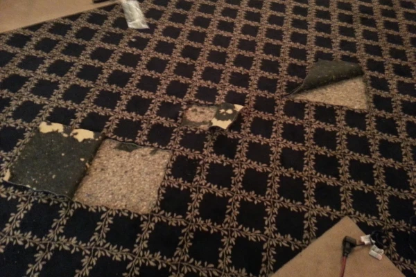 Carpet Repair