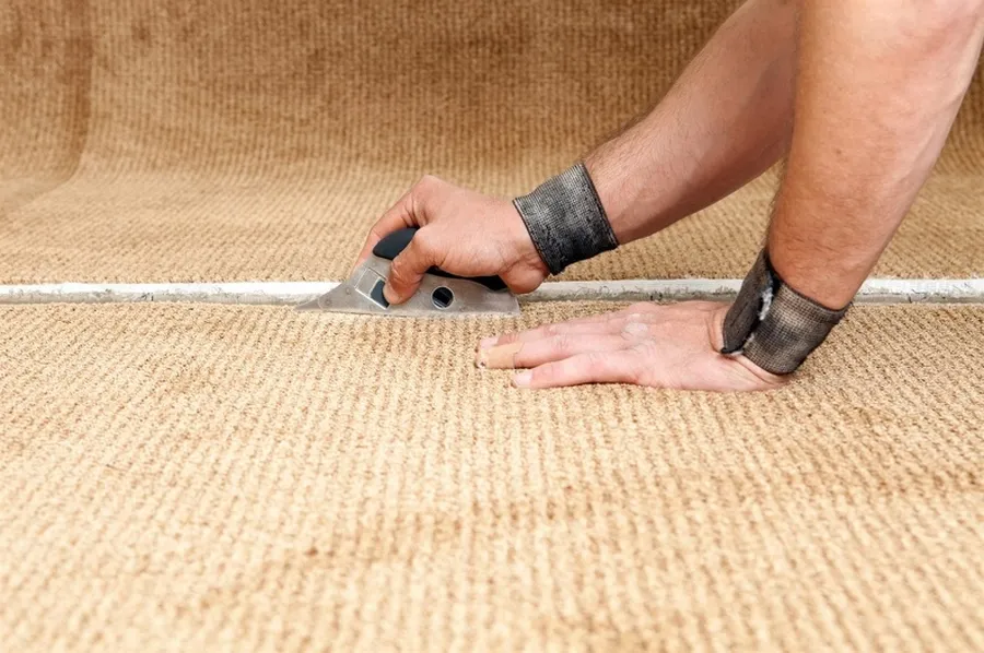 Carpet Stains That Require Professional Cleaning Solutions Indianapolis, IN