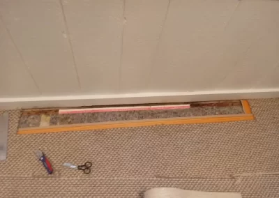 Dependable Carpet Cleaning Service