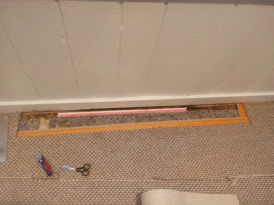 Dependable Carpet Cleaning Service