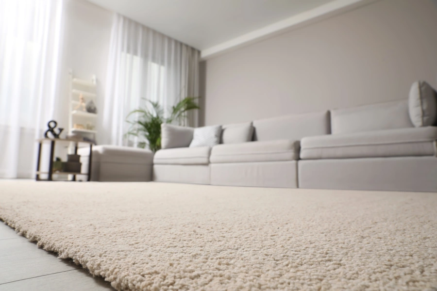 Dry Cleaning Services in Indianapolis, IN