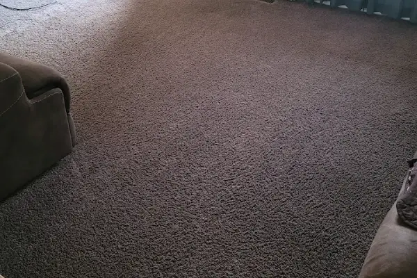 Dry Cleaning Services