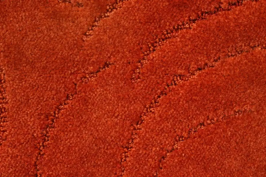 How Dry Cleaning Services Differ From Carpet Cleaning in Indianapolis, IN How Dry Cleaning Services Differ From Carpet Cleaning in Indianapolis, IN