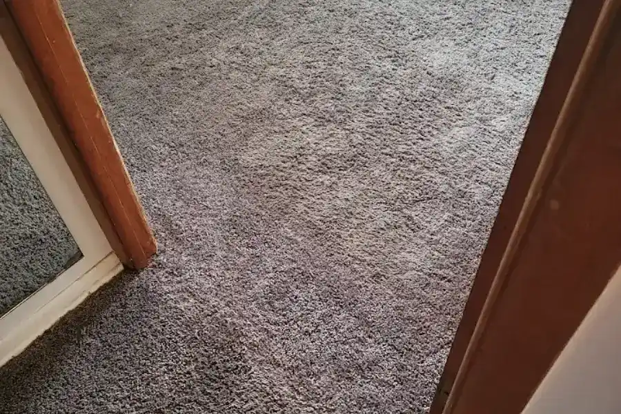 Professional Rug Cleaning