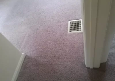 Quality Rug Cleaning