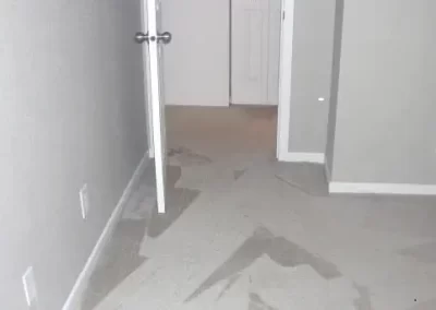 Quality Rug Cleaning Services