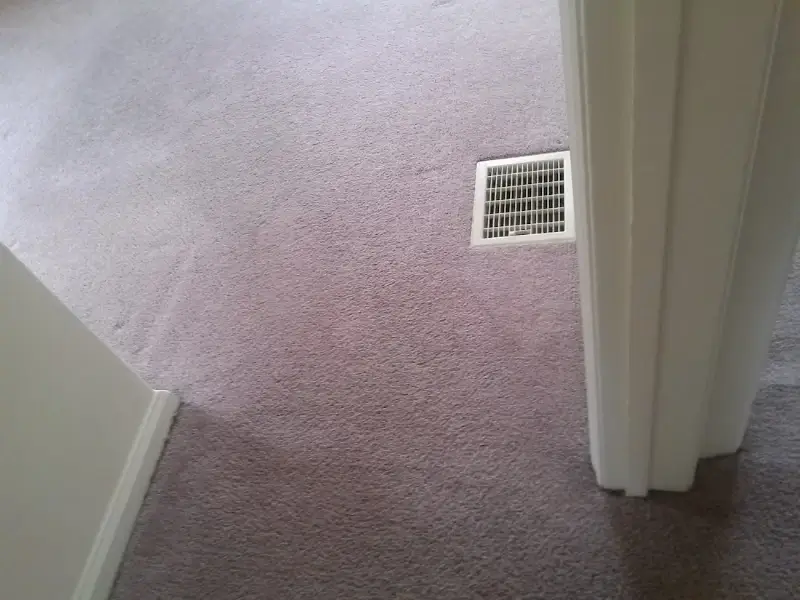 Quality Rug Cleaning