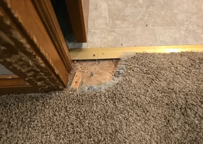 Reliable Carpet Cleaning Service