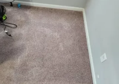 Reliable Rug Cleaning