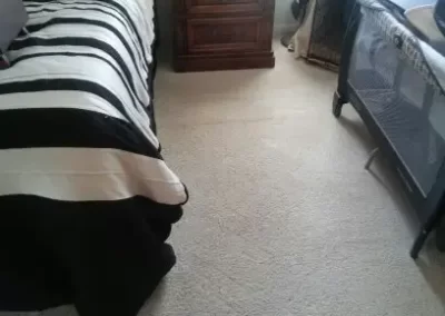 Reliable Rug Cleaning Services
