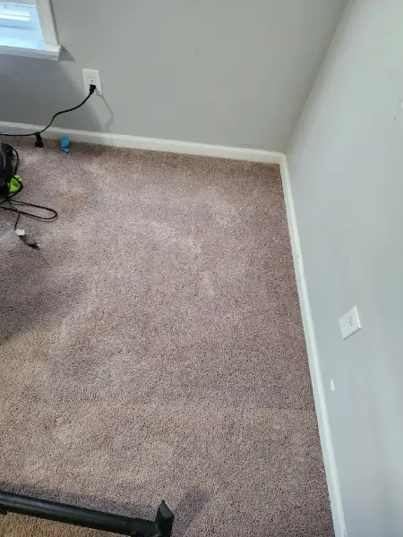 Reliable Rug Cleaning