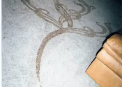 Rug Cleaning Services