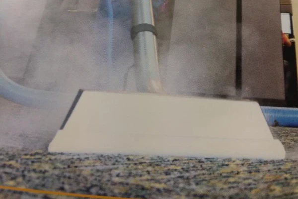 Steam Cleaning Services
