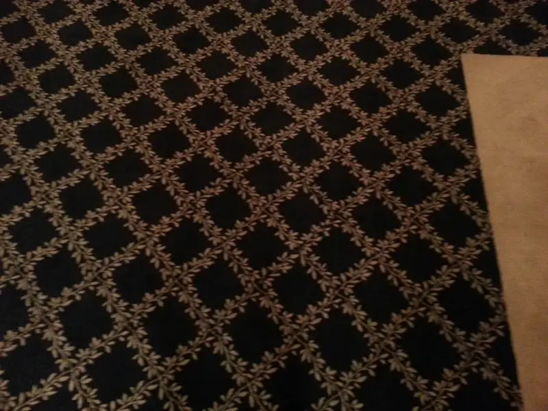 Trusted Carpet Cleaning Service